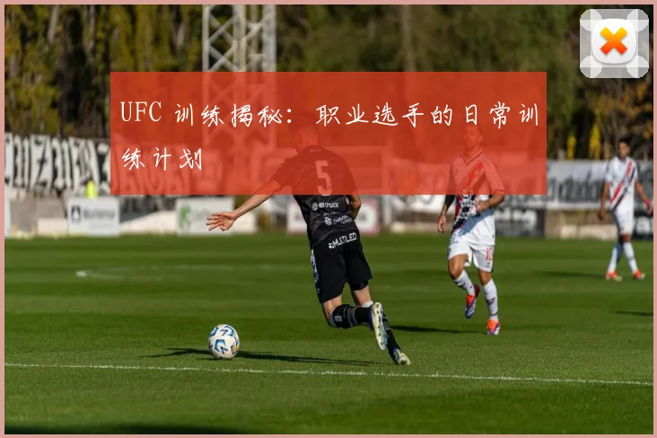 UFC 训练揭秘：职业选手的日常训练计划
