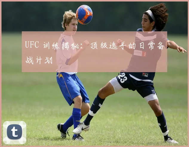 UFC 训练揭秘：顶级选手的日常备战计划