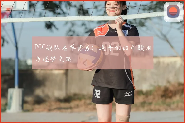PGC战队名单背后：选手们的辛酸泪与逐梦之路