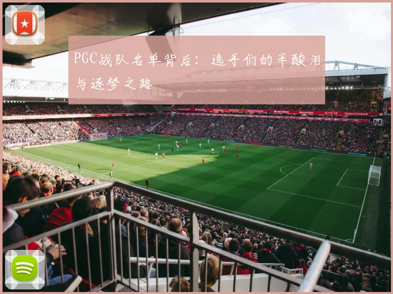 PGC战队名单背后：选手们的辛酸泪与逐梦之路
