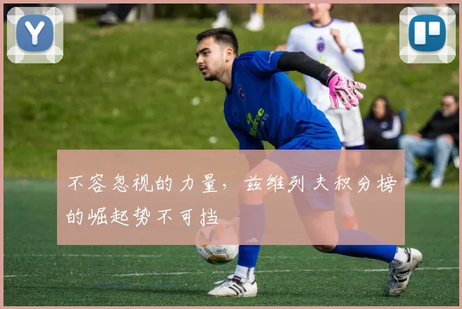 不容忽视的力量,兹维列夫积分榜的崛起势不可挡